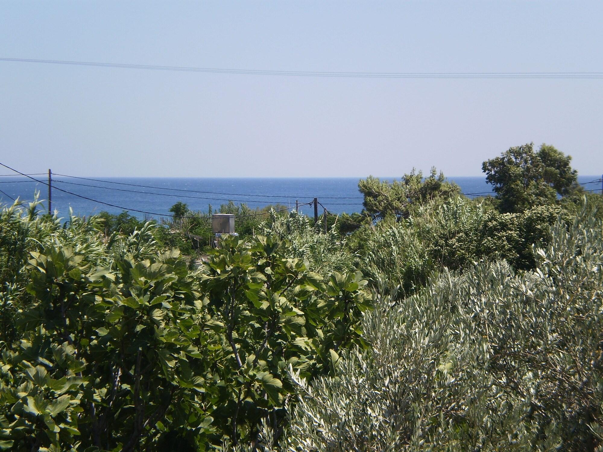 מאראת'וקאמפוס So Nice Hotel מראה חיצוני תמונה